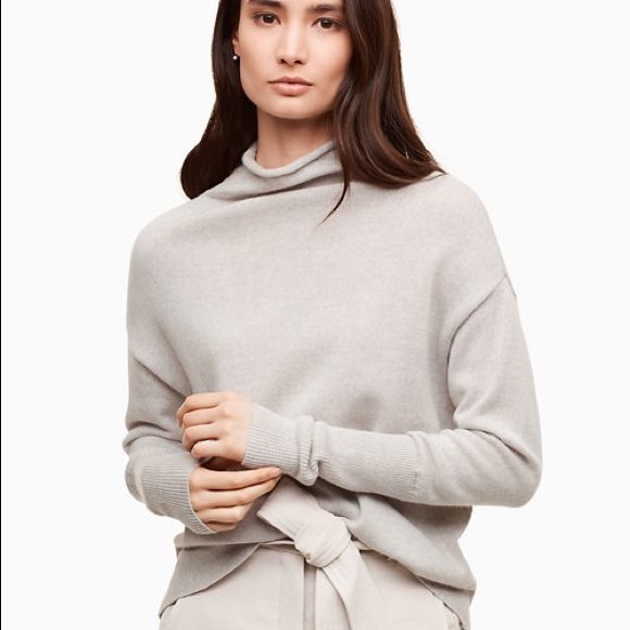 Aritzia Sweaters - Aritzia knit turtle neck